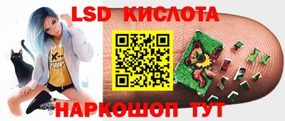амф Сланцы