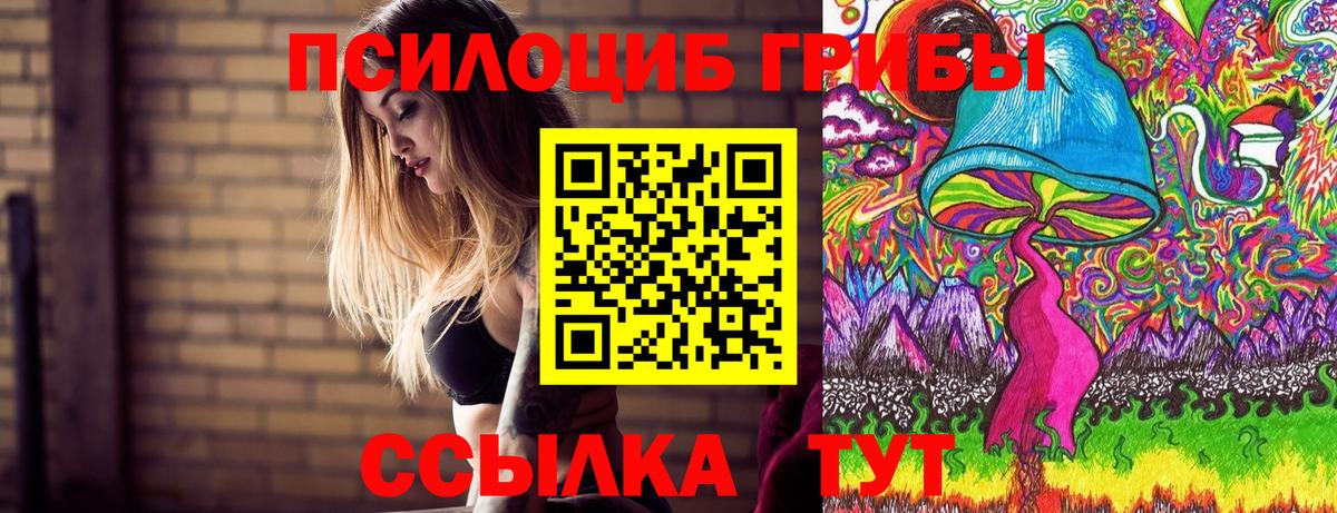 Галлюциногенные грибы мухоморы  Галлюциногенные грибы Cubensis  Вход с VPN  Будённовск 